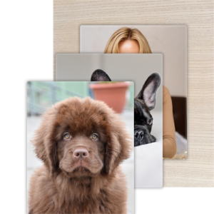 3er Bündel Set – Vertikal Eiche Weiss Relief