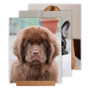 3er Bündel Set - Vertikal Standfuss Relief